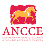 ANCCE - Inventtatte
